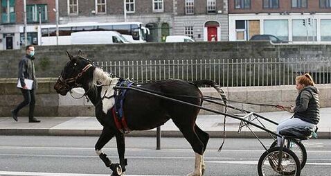 Large protest planned over use of sulkies on national roads following the death of a horse