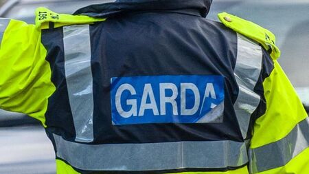 Tools stolen from a shed in Bagnalstown