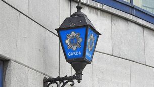 <p>The Gardaí are investigating the incident after the alarm was raised at around 6.30pm</p>