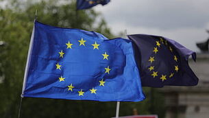 Hertz ordered to pay €10k to blind person after €150 valet charge to clean up guide dog hair