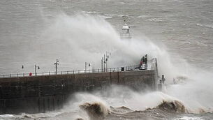 Gardaí appeal for information after dangerous sulky race caused traffic chaos Gardaí appeal for information after dangerous sulky race caused traffic chaos