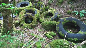 Tyres illegally dumped on Mount Leinster