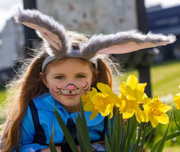 Raina Earlie as the Easter Bunny pictured among the daffodils at the Hacketstown Easter Parade
