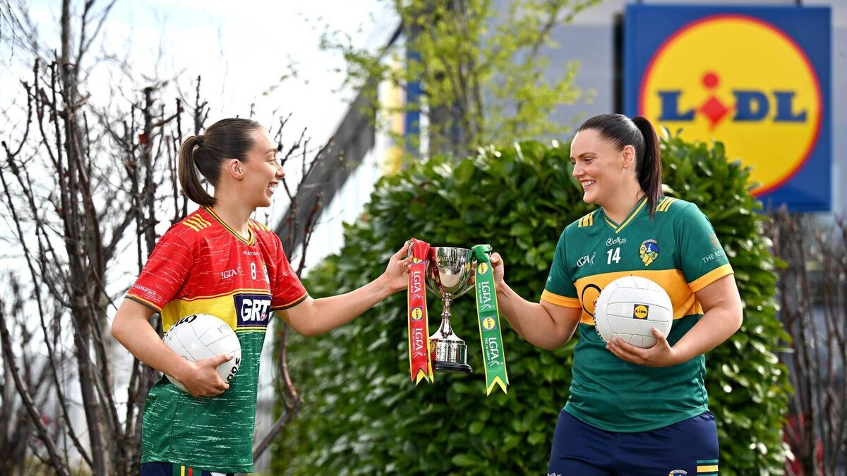 Promotion already secured, Carlow are now out to add the cherry to their cake