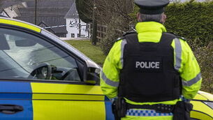 Garda found guilty of assault avoids jail and criminal record