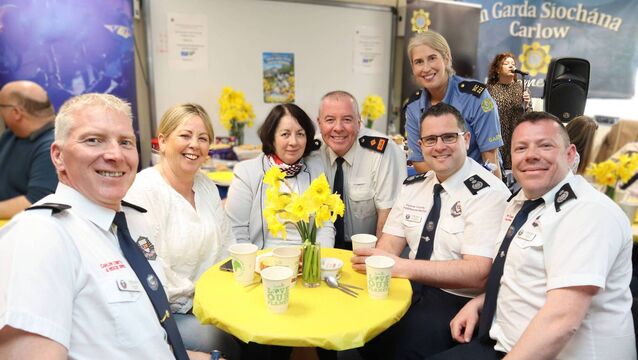 <p>Ger Griffin, Anna Duggan, Mary O'Neill, Anthony Farrell, Kate Glennon, Ben Woodhouse and Ryan Lally. Photos: Paul Curran</p>