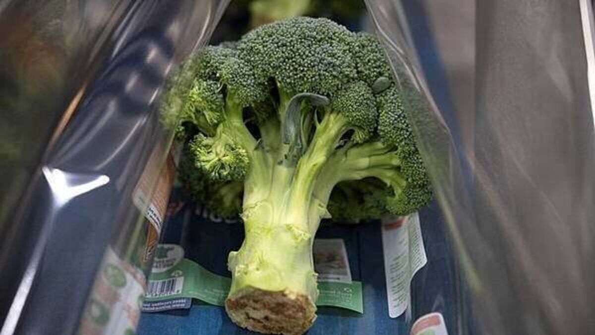 Country's largest broccoli producer and Kildare farmers oppose €168m solar farm