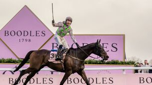 <p>Gaelic Warrior will be looking to complete a Gold Cup double at Punchestown following his recent success at the Cheltenham Festival Photo: ©INPHO/Morgan Treacy</p>