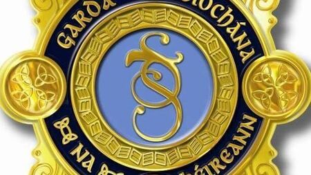 No-show defendant fined €500 in Carlow court for drunken brawl