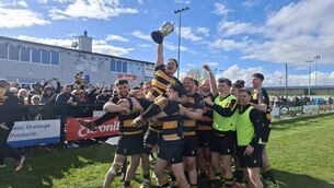 <p>Captain Paddy Mackey lifts the Towns Seconds Cup whilst being hoisted in the air by his Carlow teammates. Photo: Mark Comerford. </p>