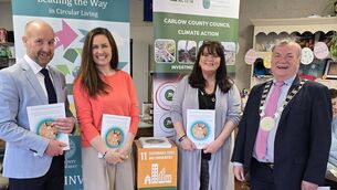 <p>Breandán Ó Caoimh, director of O'Keeffe Social Research, Aubrey Finn, Southern Waste Enforcement Regional Lead Authority, Jannette O'Brien from Carlow County Council, and cllr Ken Murnane, cathaoirleach of Carlow County Council</p>
