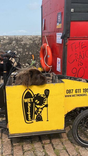 'The Wet Mongrel' sauna in Kinvara, Co Galway, along with its mascot