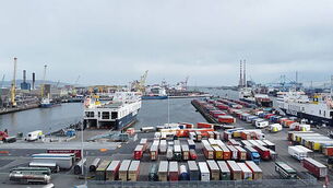 TD who gave reference to sex offender should come forward, say party leaders