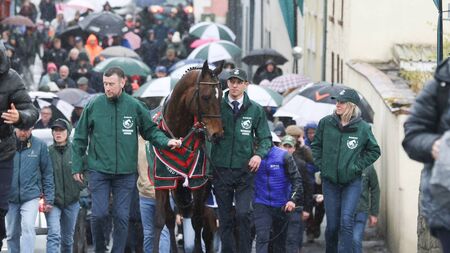 Gaelic Warrior’s brother sparkles on his debut