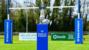 <p>The Bank of Ireland Provincial Towns Cup Trophy before the Final in Edenderry. Photo: Matt Browne/Sportsfile.</p>