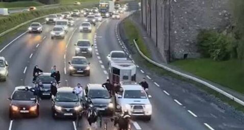 Shocking sulky race takes over N7 