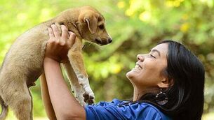 National Slow Down Day: Driver detected doing 104km/hr in 80km/hr in Donegal