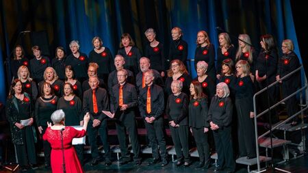 A night to remember as Wolseley Singers celebrate 20 years in Co Carlow 