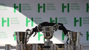 <p>A view of the champion trophies that will be presented at the end of the Punchestown Festival Photo: ©INPHO/Bryan Keane</p>