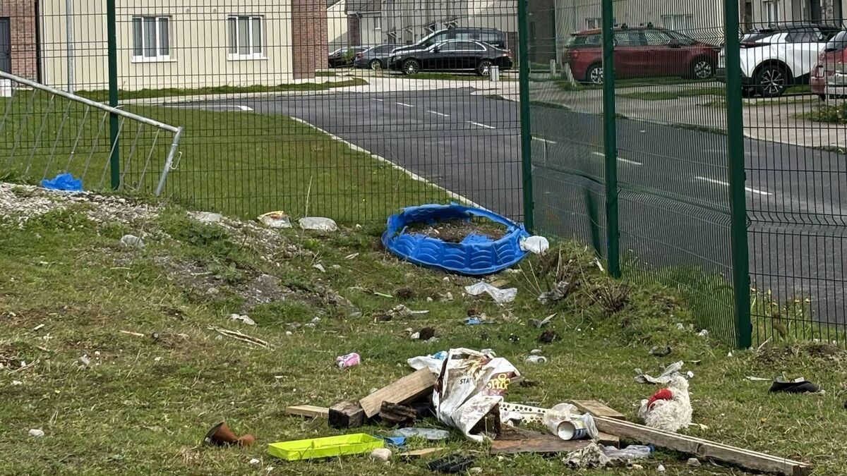 Carrigbrook estate in Carlow town plagued by illegal dumping