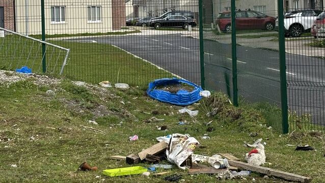 <p>Dumping behind the unlocked fence in Carrigbrook Photos: Laoise Murray</p>