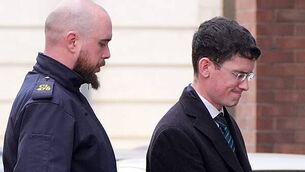 Thousands participate in Palestinian solidarity march in Dublin