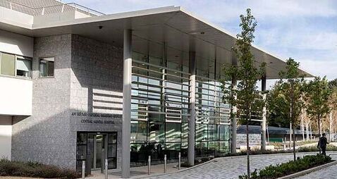 Mullingar man who attacked vulnerable brother with hammer committed to Central Mental Hospital Mullingar man who attacked vulnerable brother with hammer committed to Central Mental Hospital