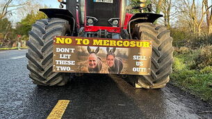 Man injured in slash hook attack in Co Limerick
