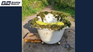 Three men arrested after explosive device found in Co Derry