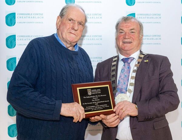 Pat Breen accepts his award from cathaoirleach Ken Murnane
