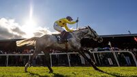 Il Etait Temps tops a brilliant treble for Team Mullins at Punchestown 