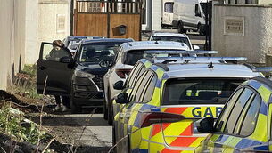 Fire crews battle gorse fires on Blackstairs Mountains for fourth time in week