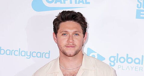 Niall Horan felt like he ‘had to’ rewrite song after Liam Payne died