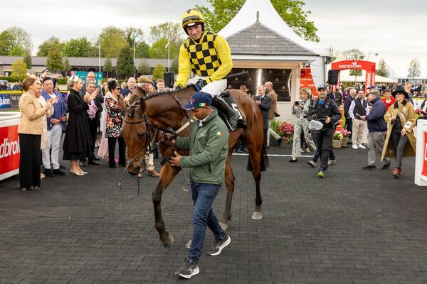 Harry Cobden on Salvator Mundi celebrates winning The Barberstown Castle Novice Steeplechase (Grade 1)