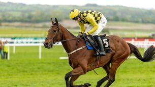 <p>Harry Cobden on Salvator Mundi wins The Barberstown Castle Novice Steeplechase (Grade 1) Mandatory Credit ©INPHO/Morgan Treacy</p>