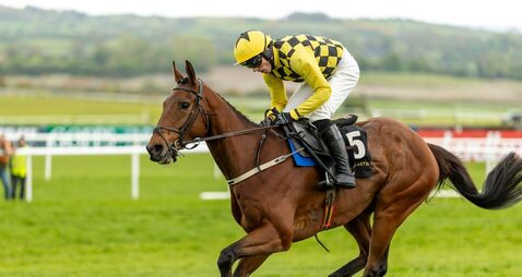 Mundi takes advantage of Kopek fall to land Barberstown Chase 