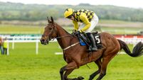 Mundi takes advantage of Kopek fall to land Barberstown Chase 