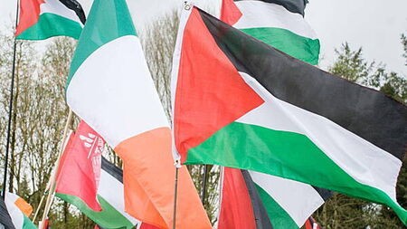 Irish flotilla participants taken by Israeli authorities released