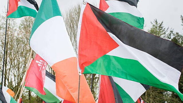 Irish flotilla participants taken by Israeli authorities released