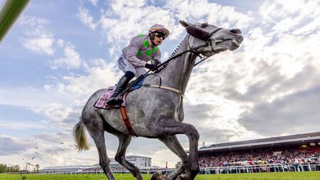 Lossiemouth delivers Champion hurdle gold in breathtaking Punchestown display