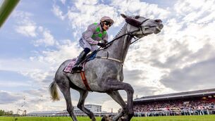 <p>Paul Townend on Lossiemouth wins The Boodles Champion Hurdle (Grade 1)Photos: INPHO/Morgan Treacy</p>