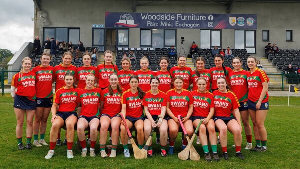 The Carlow team that won the All-Ireland U23 'C' Final against Meath on Saturday at Castletown Geoghegan, Westmeath.