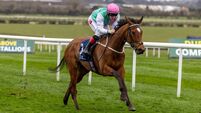 Preview and tips for Tuesday’s seven-race card at Gowran Park