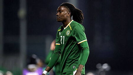 Young Benfica forward among new names in Ireland squad