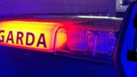 County Carlow woman disqualified for three years on drunk driving charge 