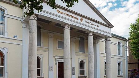 Carlow court translator in court over parking ticket