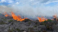 Dublin fire brigade battling gorse fire on Killiney Hill