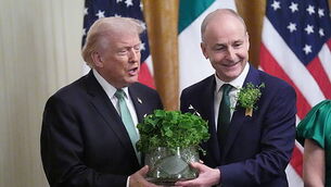 Irish athletes welcomed home from Winter Olympics