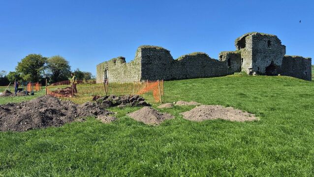 Treasure trove of items found in Ballymoon dig in County Carlow