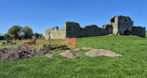 Treasure trove of items found in Ballymoon dig in County Carlow